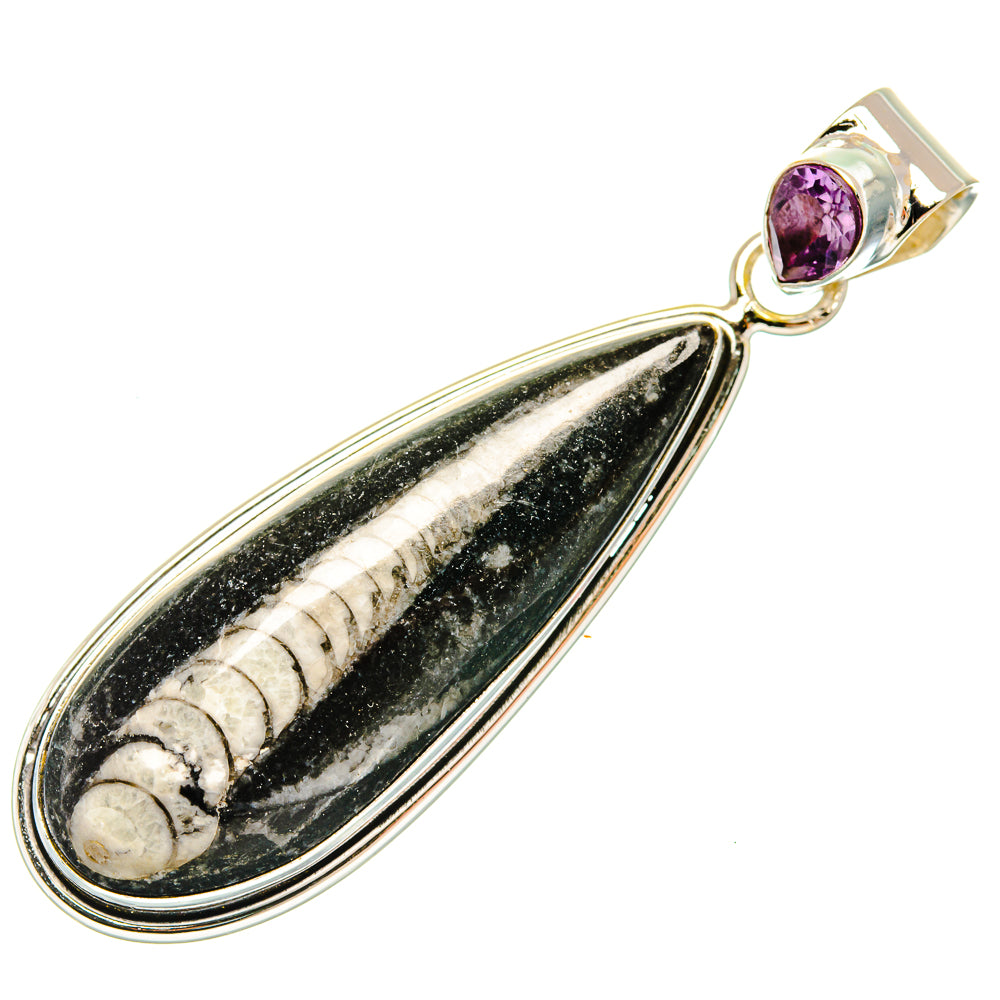 Orthoceras Fossil Pendants handcrafted by Ana Silver Co - PD27390 - Photo 2