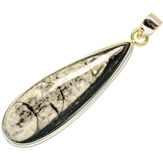 Orthoceras Fossil Pendants handcrafted by Ana Silver Co - PD27528 - Photo 2