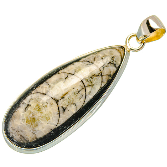 Orthoceras Fossil Pendants handcrafted by Ana Silver Co - PD27530 - Photo 2