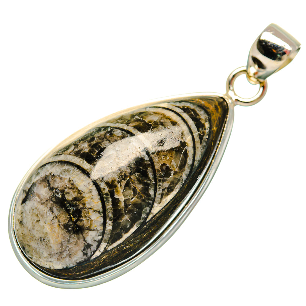 Orthoceras Fossil Pendants handcrafted by Ana Silver Co - PD27531 - Photo 2