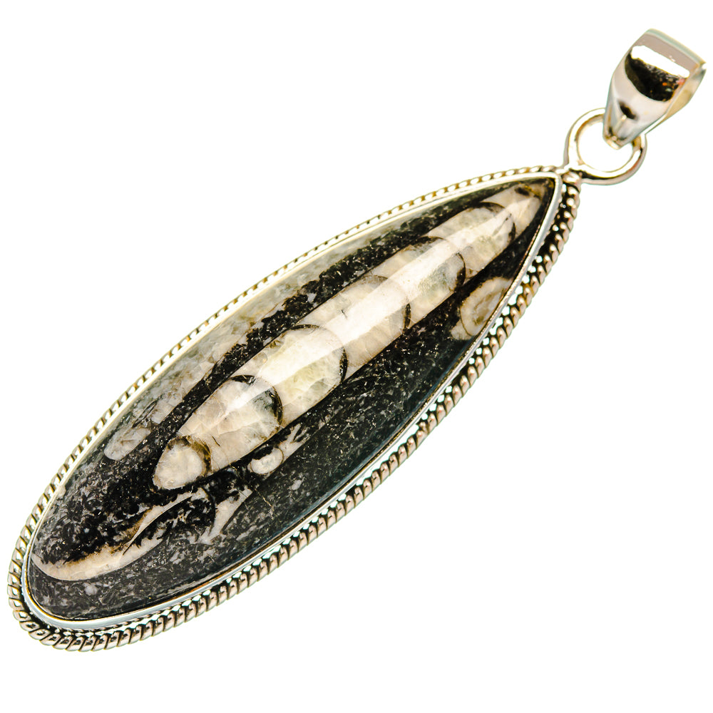 Orthoceras Fossil Pendants handcrafted by Ana Silver Co - PD27719 - Photo 2