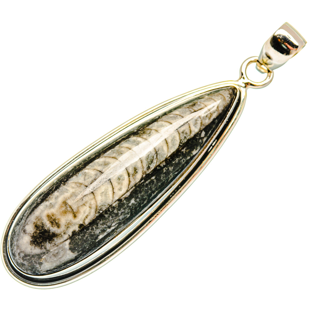 Orthoceras Fossil Pendants handcrafted by Ana Silver Co - PD27720 - Photo 2