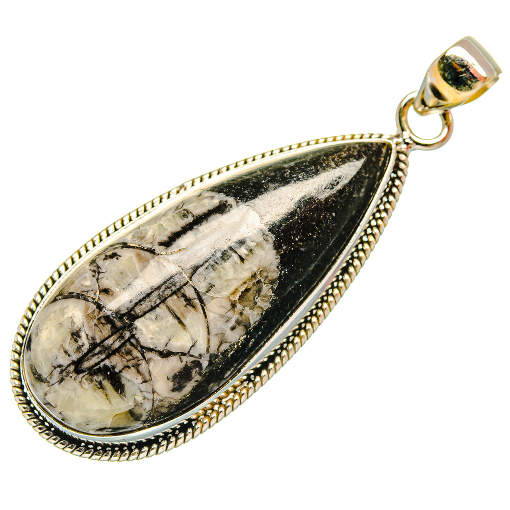 Orthoceras Fossil Pendants handcrafted by Ana Silver Co - PD27721 - Photo 2