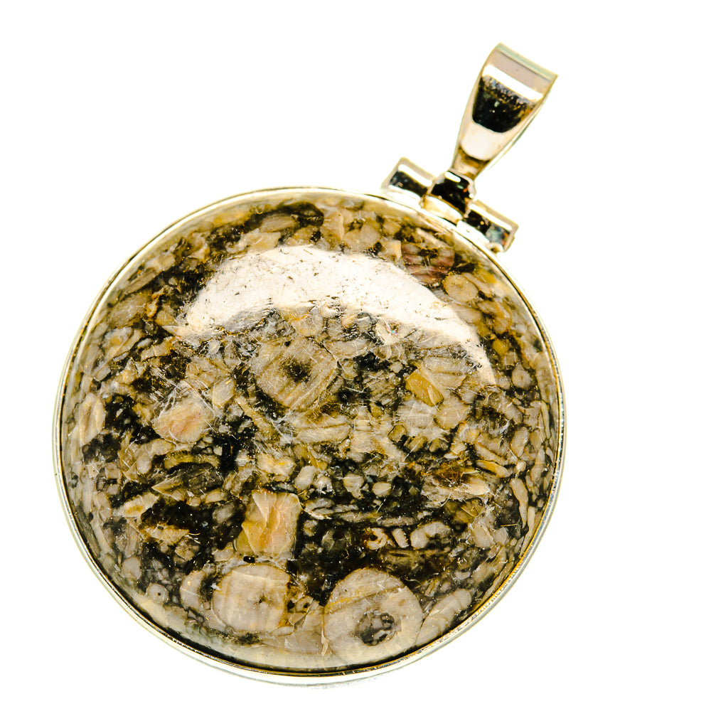 Crinoid Fossil Pendants handcrafted by Ana Silver Co - PD3019