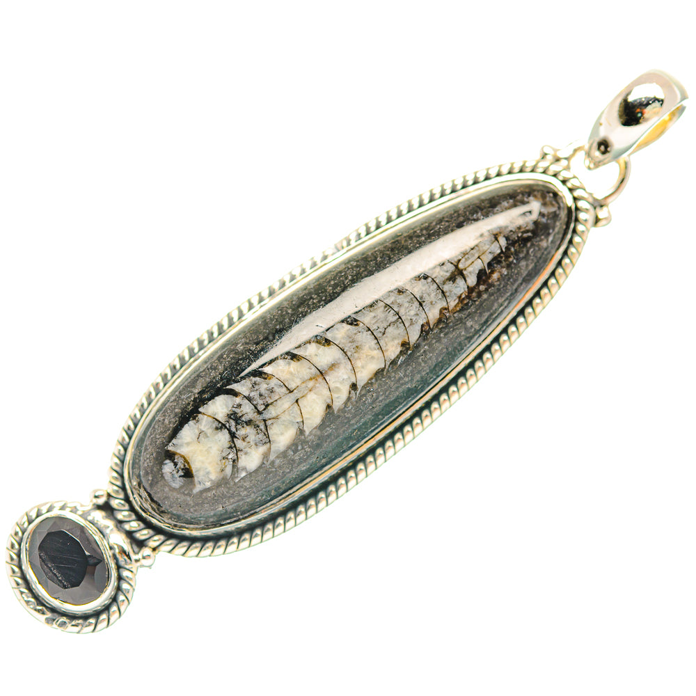 Orthoceras Fossil Pendants handcrafted by Ana Silver Co - PD31855 - Photo 2