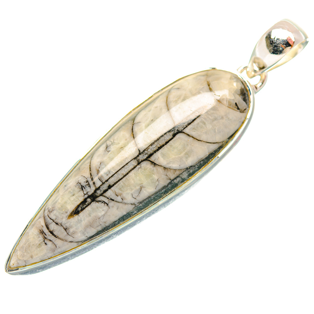 Orthoceras Fossil Pendants handcrafted by Ana Silver Co - PD31945 - Photo 2
