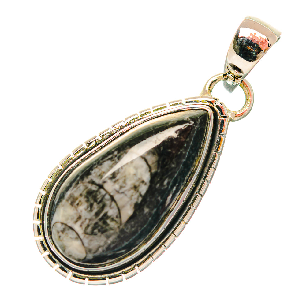 Teardrop fossil pendant in sterling silver with black-and-white stone, loop bail top