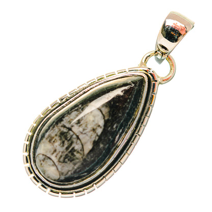 Teardrop fossil pendant in sterling silver with black-and-white stone, loop bail top