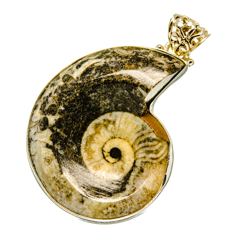 Orthoceras Fossil Pendants handcrafted by Ana Silver Co - PD3230