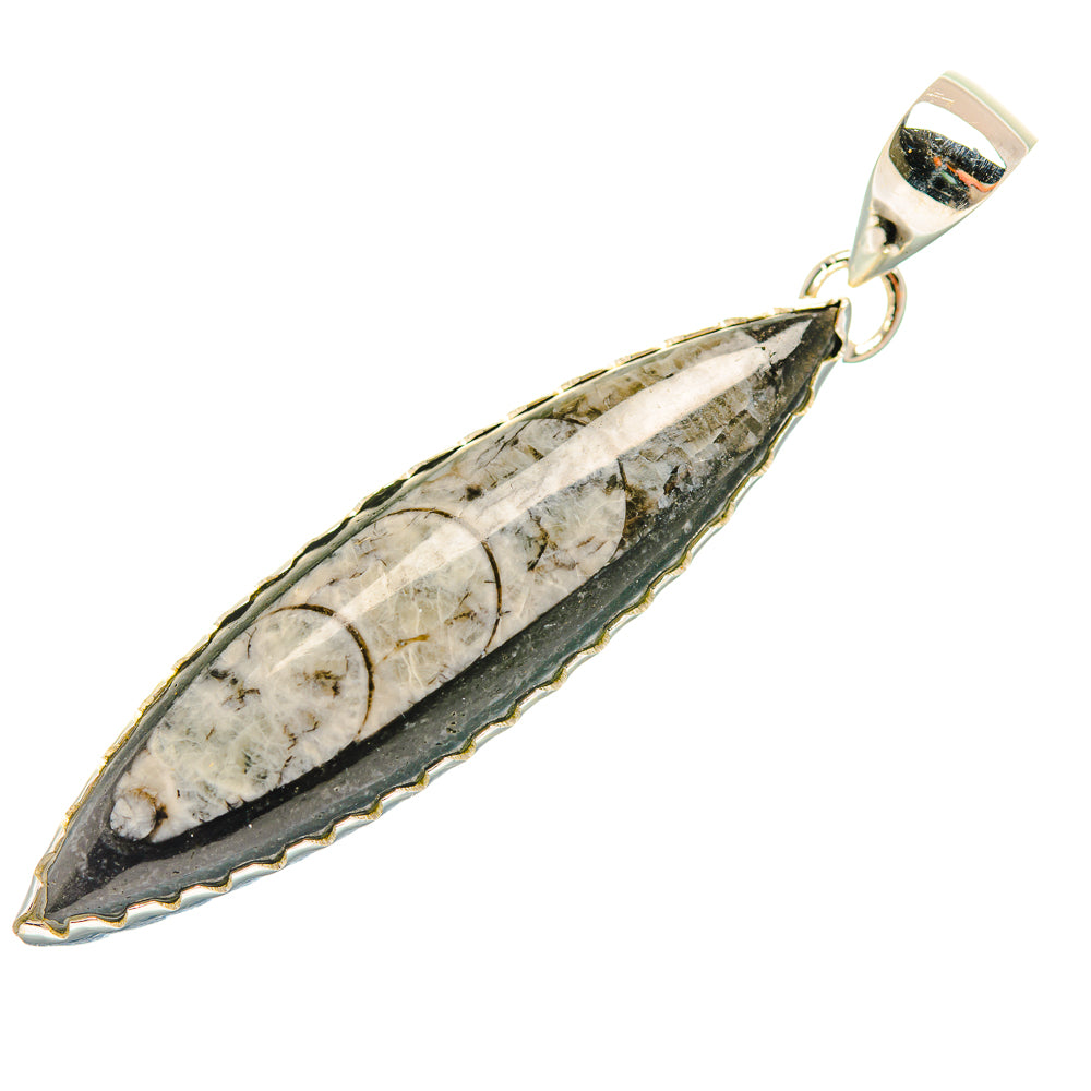 Orthoceras Fossil Pendants handcrafted by Ana Silver Co - PD32396 - Photo 2