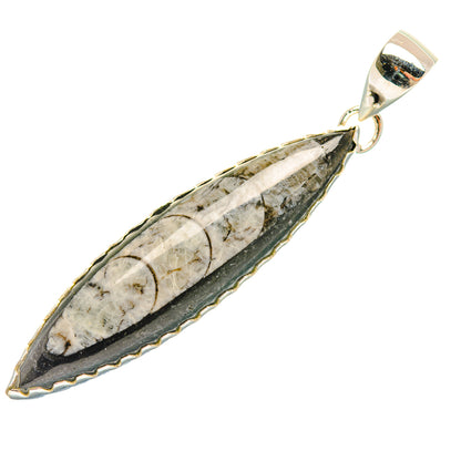 Orthoceras Fossil Pendants handcrafted by Ana Silver Co - PD32396 - Photo 2