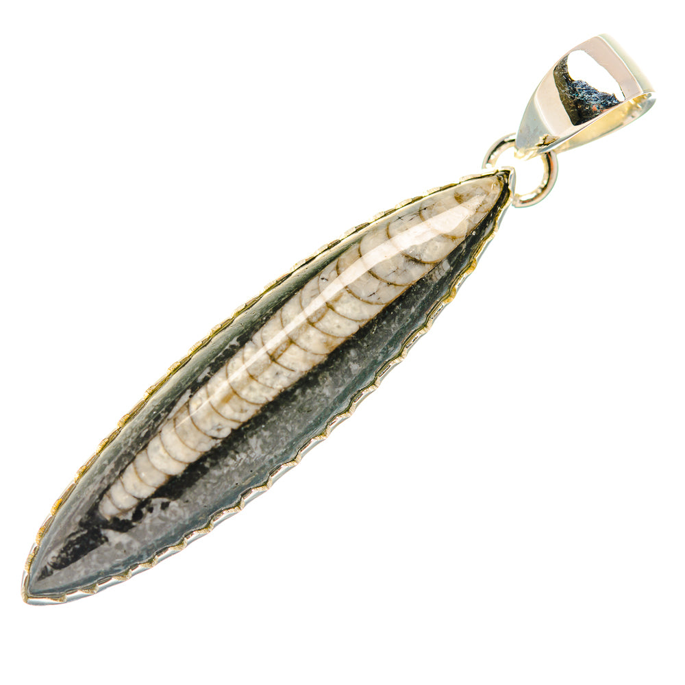 Orthoceras Fossil Pendants handcrafted by Ana Silver Co - PD32397 - Photo 2