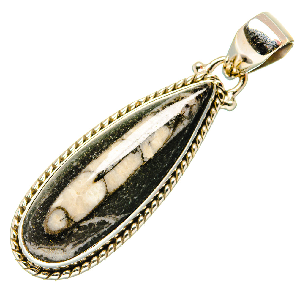Orthoceras Fossil Pendants handcrafted by Ana Silver Co - PD34373 - Photo 2