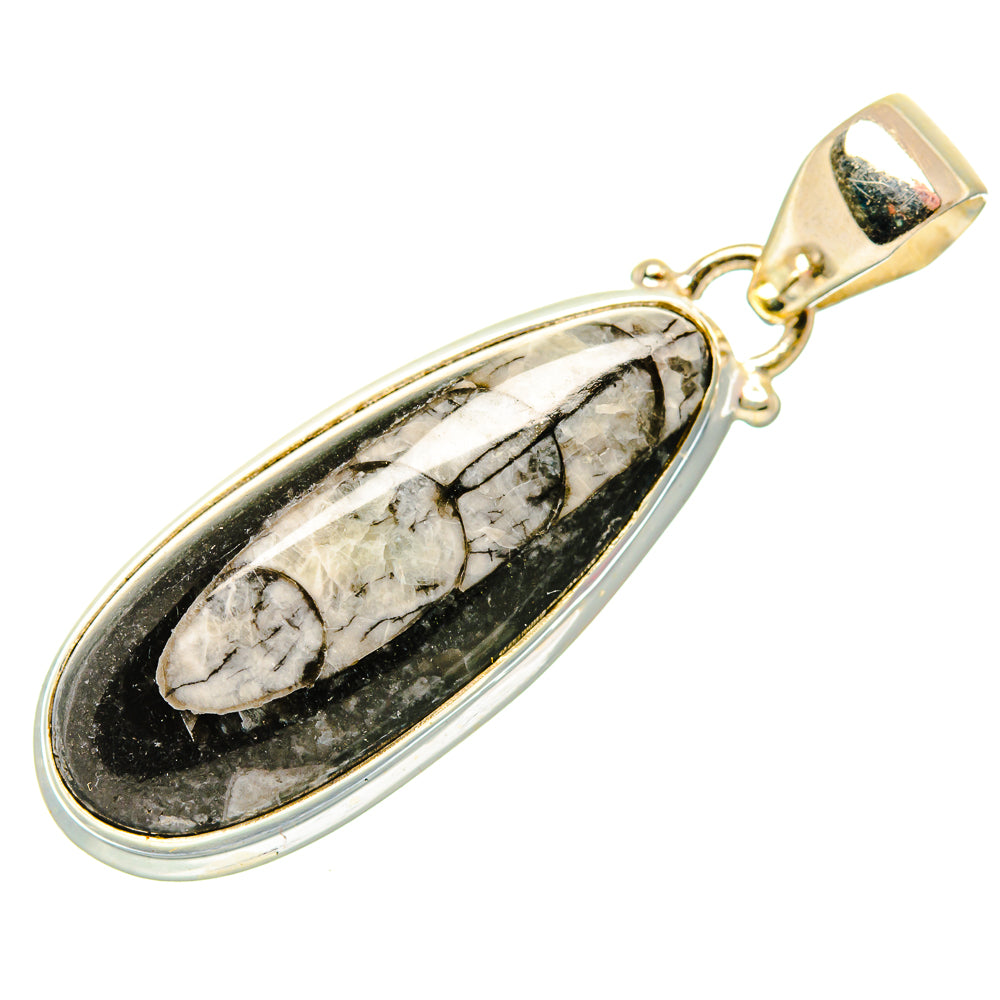 Orthoceras Fossil Pendants handcrafted by Ana Silver Co - PD34454 - Photo 2