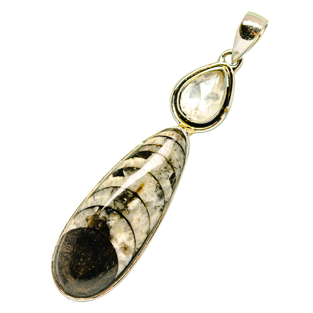 Orthoceras Fossil Pendants handcrafted by Ana Silver Co - PD4219