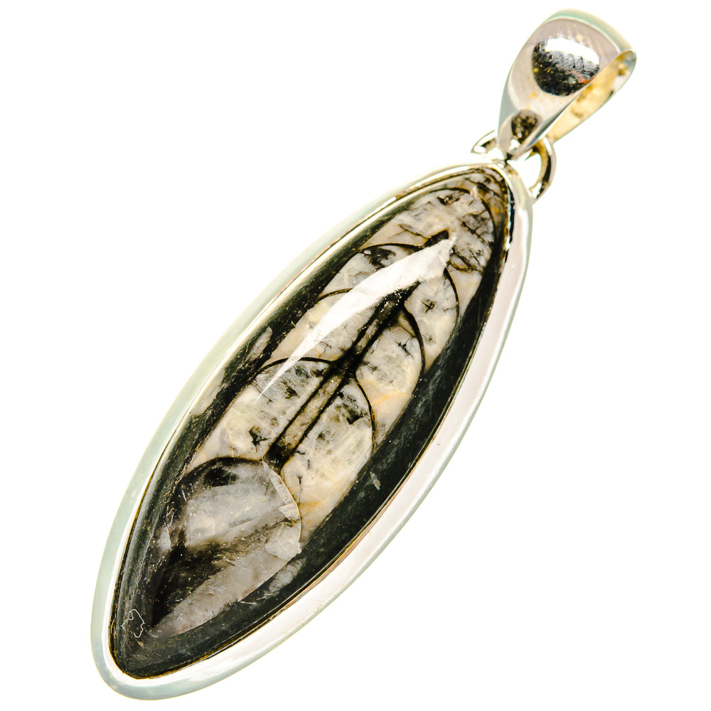 Oval sterling silver pendant with black-and-white fossil stone cabochon and small bail