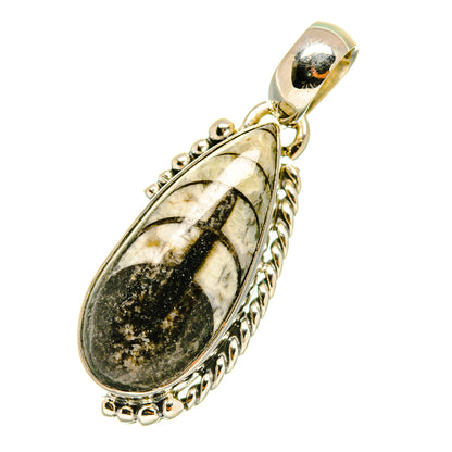 Orthoceras Fossil Pendants handcrafted by Ana Silver Co - PD4701