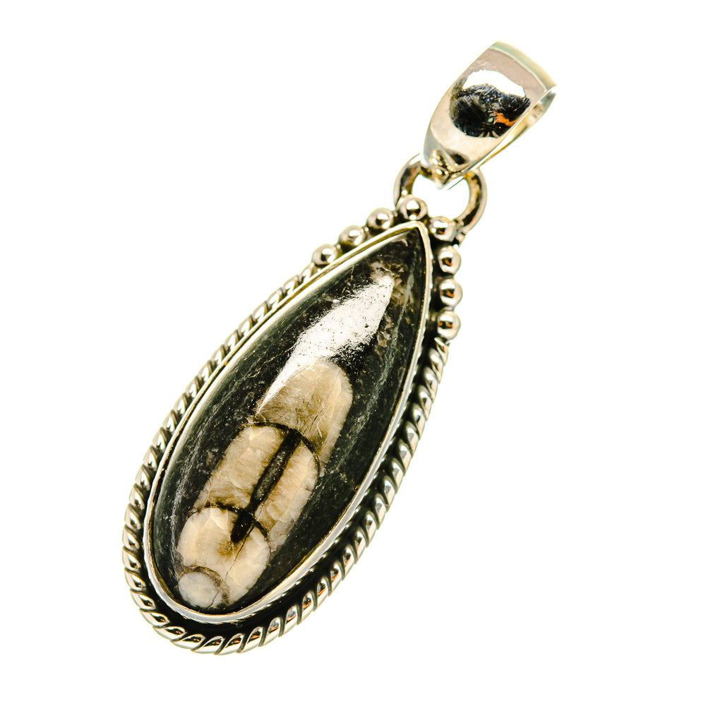 Orthoceras Fossil Pendants handcrafted by Ana Silver Co - PD4704