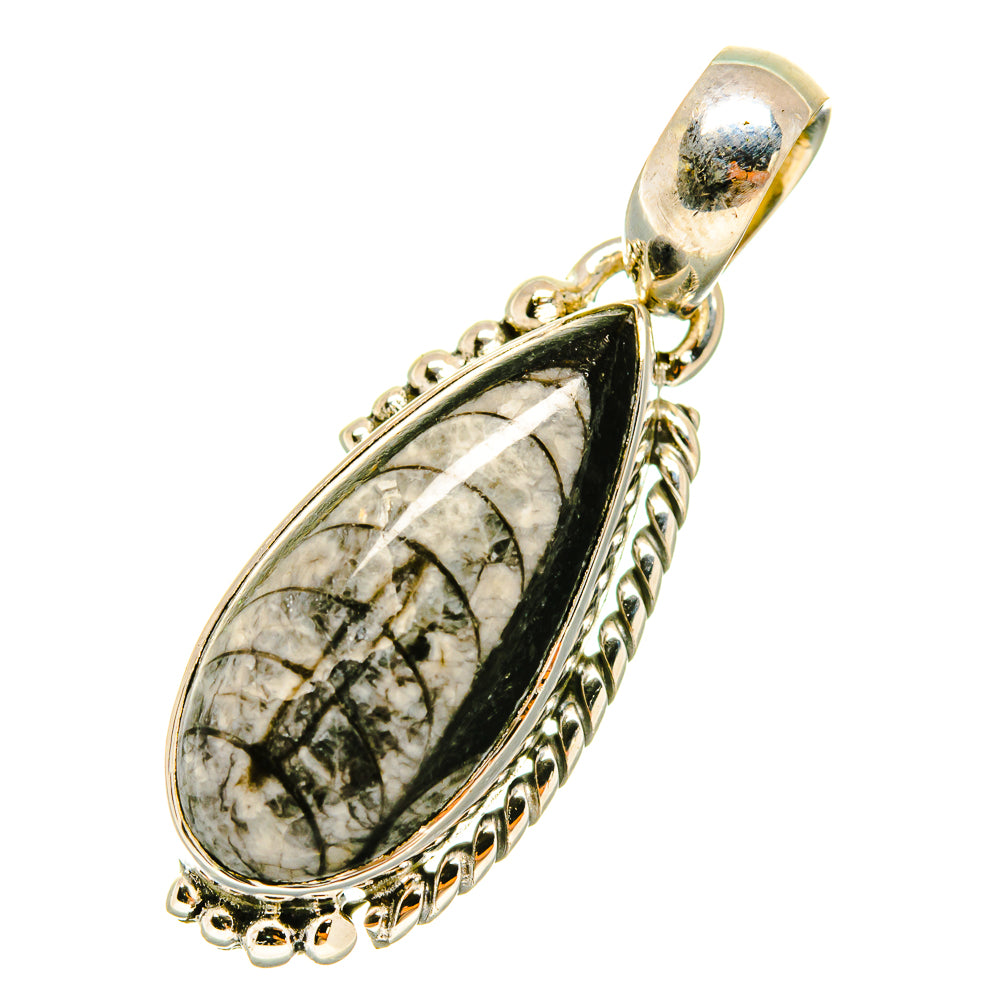 Orthoceras Fossil Pendants handcrafted by Ana Silver Co - PD4848