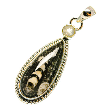 Orthoceras Fossil Pendants handcrafted by Ana Silver Co - PD4893