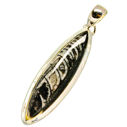 Orthoceras Fossil Pendants handcrafted by Ana Silver Co - PD5188