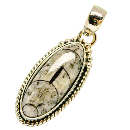 Orthoceras Fossil Pendants handcrafted by Ana Silver Co - PD5431