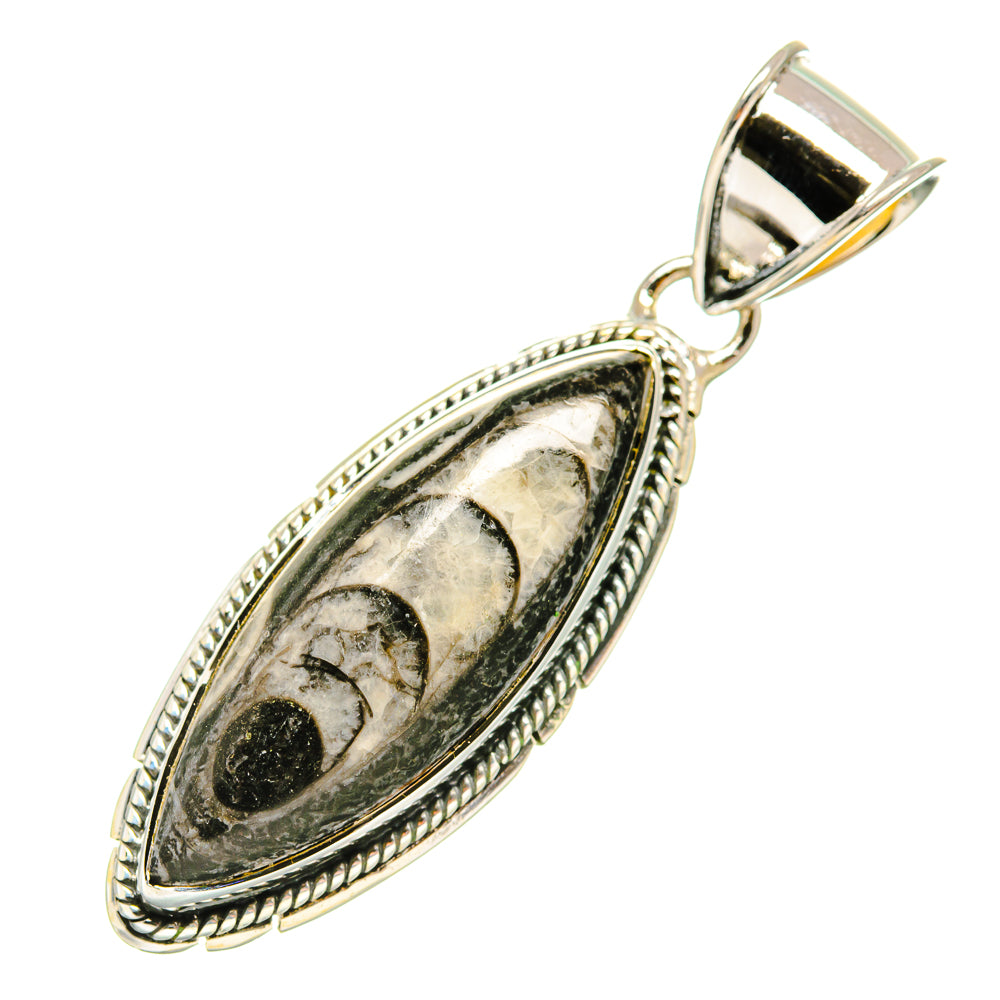 Orthoceras Fossil Pendants handcrafted by Ana Silver Co - PD5767