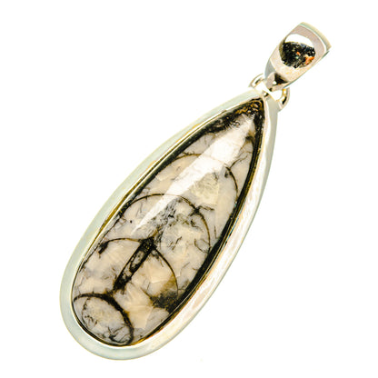 Orthoceras Fossil Pendants handcrafted by Ana Silver Co - PD6062