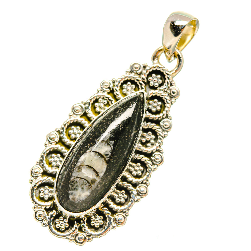 Orthoceras Fossil Pendants handcrafted by Ana Silver Co - PD6507