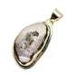 Coconut Geode Slice, Carnelian, Citrine Pendants handcrafted by Ana Silver Co - PD7023