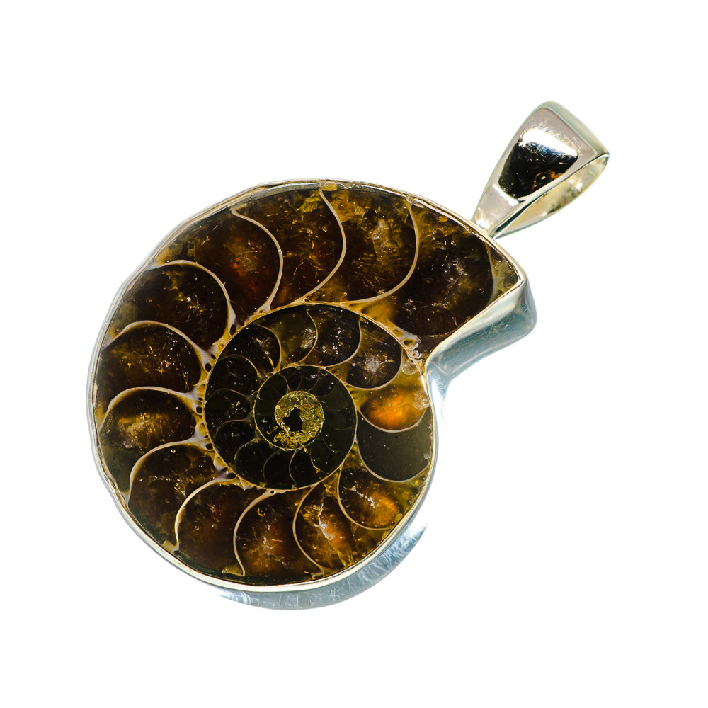 Ammonite Fossil Pendants handcrafted by Ana Silver Co - PD734746