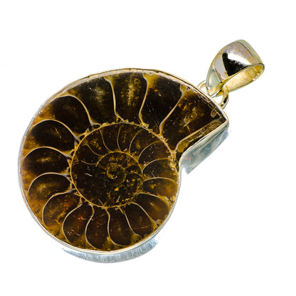 Ammonite fossil pendant with round amber-brown stone and silver bail
