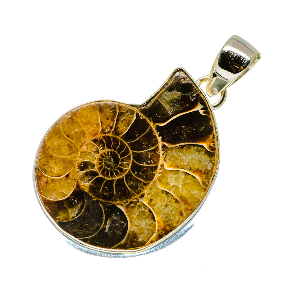 Ammonite Fossil Pendants handcrafted by Ana Silver Co - PD735033
