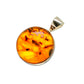 Baltic Amber Pendants handcrafted by Ana Silver Co - PD735205