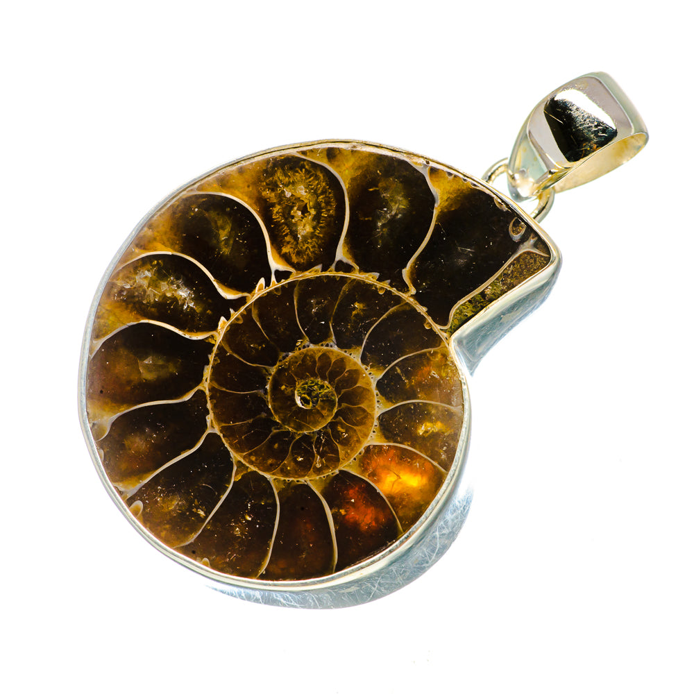 Ammonite fossil pendant in round silver bezel with brown amber spiral pattern
