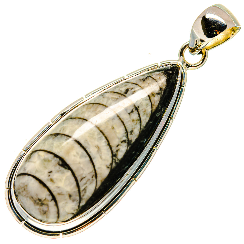 Orthoceras Fossil Pendants handcrafted by Ana Silver Co - PD737763