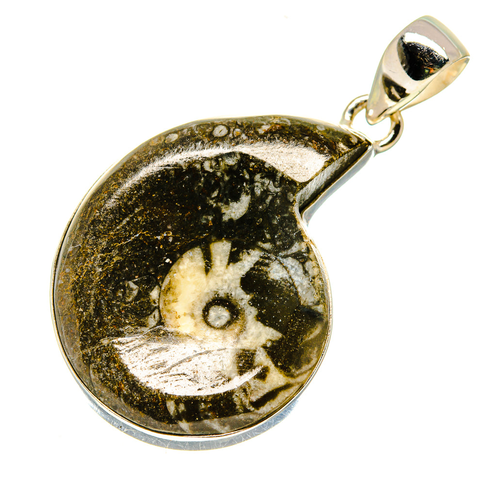 Orthoceras Fossil Pendants handcrafted by Ana Silver Co - PD739436