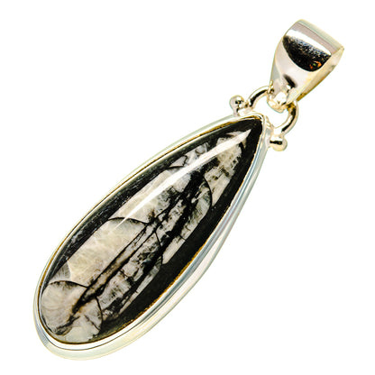 Orthoceras Fossil Pendants handcrafted by Ana Silver Co - PD744016