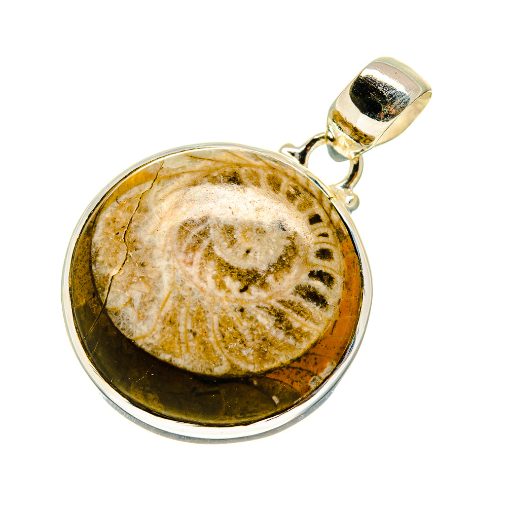 Orthoceras Fossil Pendants handcrafted by Ana Silver Co - PD744241