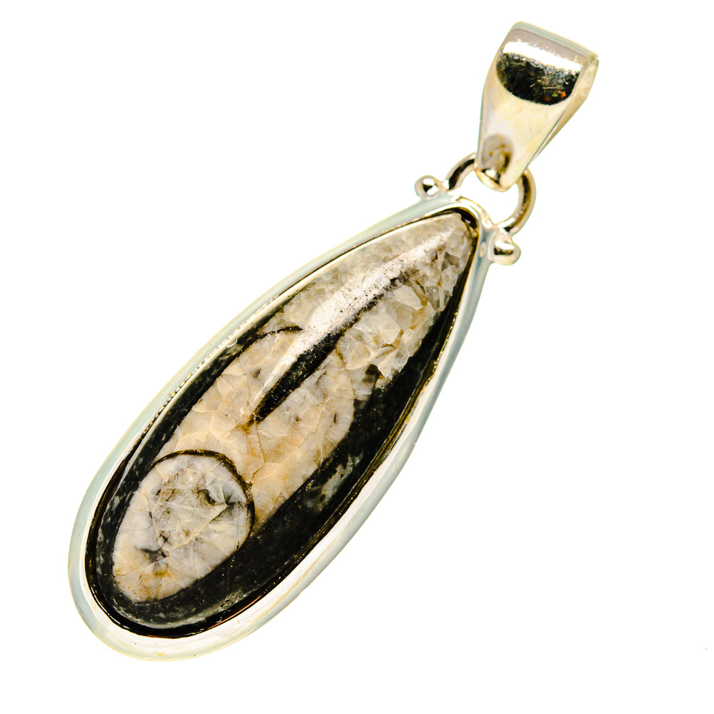 Orthoceras Fossil Pendants handcrafted by Ana Silver Co - PD744541