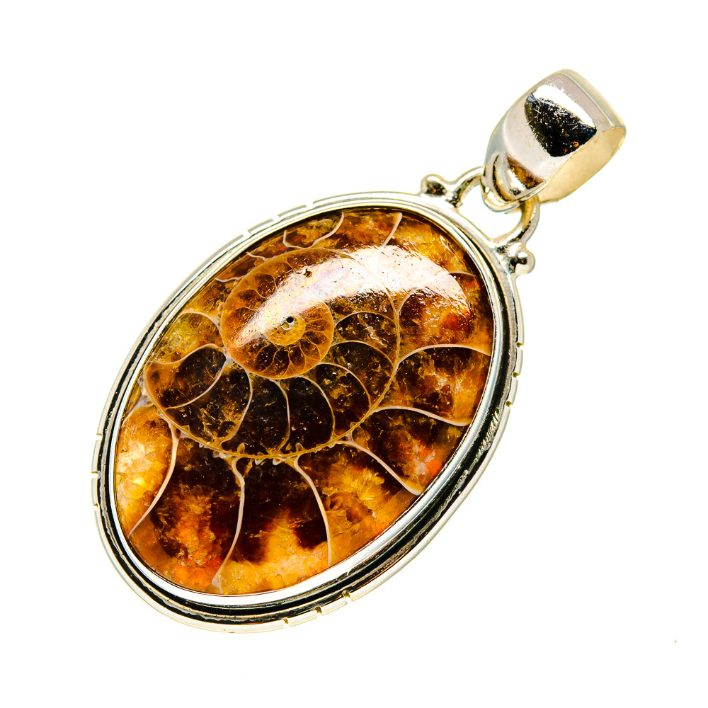 Ammonite Fossil Pendants handcrafted by Ana Silver Co - PD744558