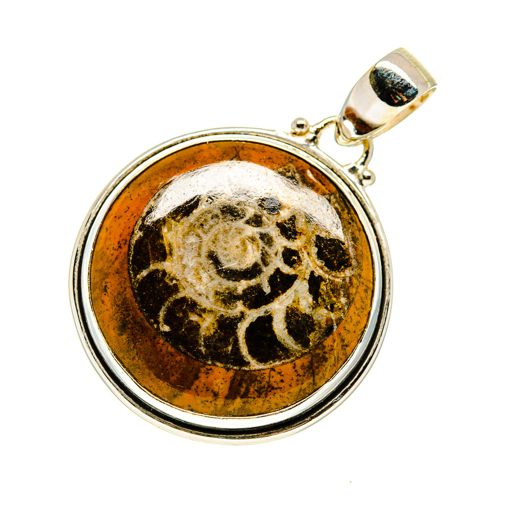 Orthoceras Fossil Pendants handcrafted by Ana Silver Co - PD745235