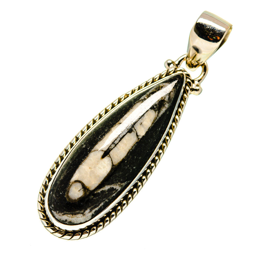 Orthoceras Fossil Pendants handcrafted by Ana Silver Co - PD745352