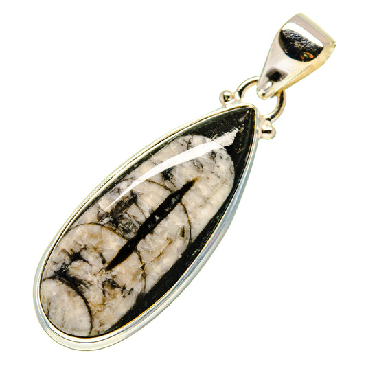 Orthoceras Fossil Pendants handcrafted by Ana Silver Co - PD745353