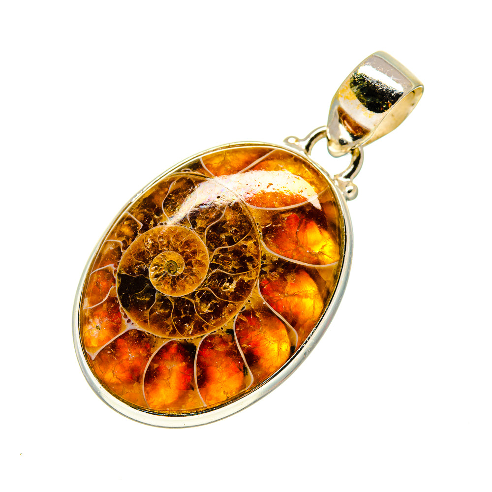 Ammonite Fossil Pendants handcrafted by Ana Silver Co - PD745595