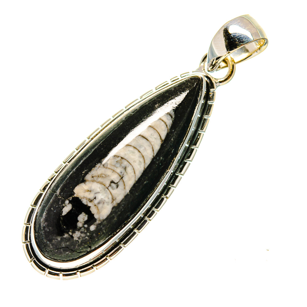 Orthoceras Fossil Pendants handcrafted by Ana Silver Co - PD746207