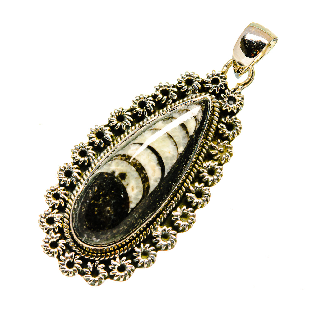 Orthoceras Fossil Pendants handcrafted by Ana Silver Co - PD746574