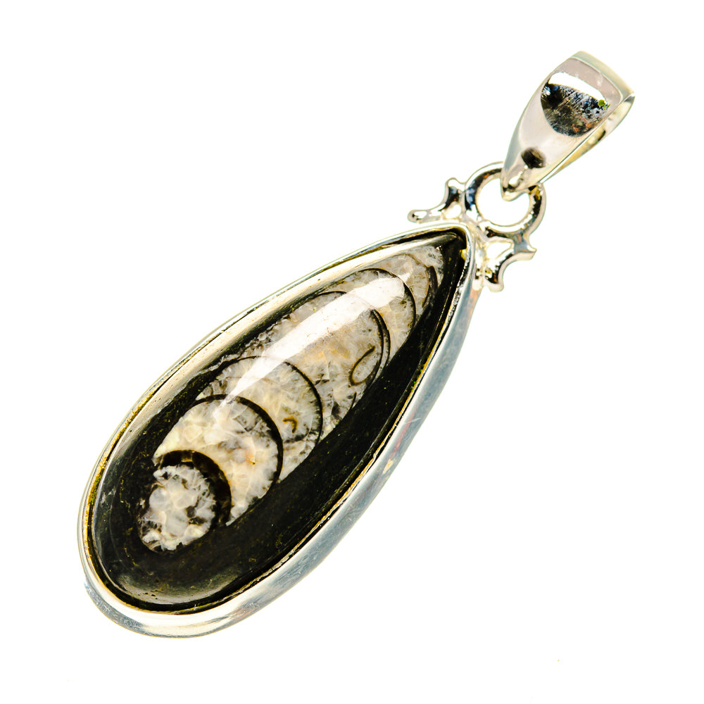 Orthoceras Fossil Pendants handcrafted by Ana Silver Co - PD746824