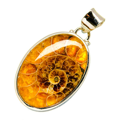 Oval amber ammonite fossil pendant in 925 silver with bail and connector ring
