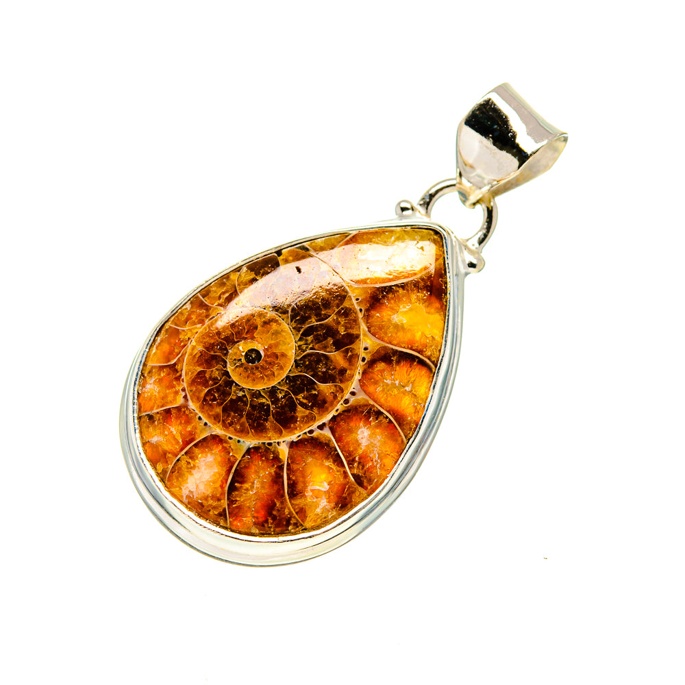 Ammonite Fossil Pendants handcrafted by Ana Silver Co - PD750878